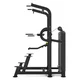 Multifunktionales Trapez inSPORTline Velocer CD85