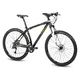 Horský bicykel 4EVER Fever Disc 29" - model 2015 - čierno-zelená