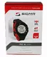 Sporttester SIGMA PC 9 man