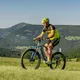 Mountain E-Bike Crussis e-Largo 10.4 – 2019