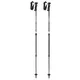 Trekking Poles Leki Eagle