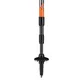 Trekking Poles Leki Trail Lite