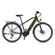 Trekingový elektrobicykel 4EVER Mercury Elite Trek - čierna/zlatá - čierna/zlatá