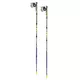 Nordic Walking hole LEKI Micro Flash Carbon