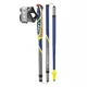 Nordic Walking hole LEKI Micro Flash Carbon