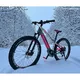 Women’s Mountain E-Bike Crussis OLI Fionna 8.7-M – 2022