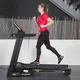 Treadmill inSPORTline inCondi T45i