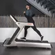 Treadmill inSPORTline Gardian G12