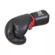 Boxing Gloves Shindo Sport - L (10 oz)