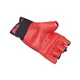 MMA Gloves Shindo Sport - L
