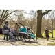 Vozík za kolo Qeridoo KidGoo 2 Sport - Anthracite Grey
