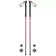 Trekking Poles FERRINO Spantik SS23