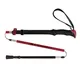 Trekking Poles FERRINO Spantik SS23