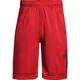 Dětské kraťasy Under Armour Renegade Solid Short - Red