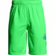 Detské kraťasy Under Armour Renegade Solid Short - Stealth Gray - Arena Green