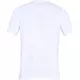 Men’s T-Shirt Under Armour Siro Print SS FTD