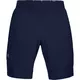 Men’s Shorts Under Armour Vanish Woven