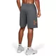 Pánské kraťasy Under Armour Tech Graphic Short Nov - Pitch Gray, S