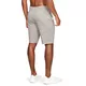 Pánske kraťasy Under Armour Sportstyle Terry Short - L