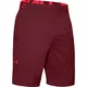 Men’s Shorts Under Armour Vanish Woven - Cordova