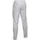 Pánske golfové nohavice Under Armour EU Performance Slim Taper Pant - 40/32