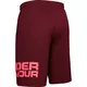 Pánske kraťasy Under Armour Tech Wordmark Shorts - L