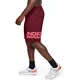 Men’s Shorts Under Armour Tech Wordmark - Cordova