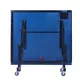 Table Tennis Table inSPORTline Gosimo
