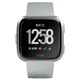 Smart Watch Fitbit Versa Gray/Silver Aluminum