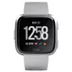 Smart Watch Fitbit Versa Gray/Silver Aluminum