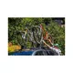 Rooftop Upright Bike Mount Yakima FrontLoader