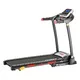 Treadmill inSPORTline Lavister