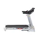 Treadmill inSPORTline Gallop II