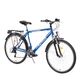 Trekingový bicykel DHS 2631 City Line - model 2013 - šedá - modrá