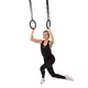 Gymnastic Rings inSPORTline CF020