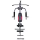 Home Gym inSPORTline ProfiGym N10