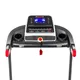 Treadmill inSPORTline Lavister