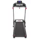 Treadmill inSPORTline Lavister