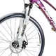 Dámsky horský bicykel Devron Riddle LH0.9 29" - model 2016 - Nasty Violet