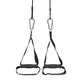 Suspension Trainer inSPORTline Multitrainer NG