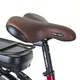 City E-Bike Devron 28122 - Brown