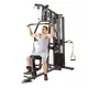 inSPORTline ProfiGym C95 Multifunktionale Kraftstation