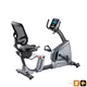 Recumbent inSPORTline Omahan RMB