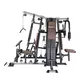 Home Gym inSPORTline Profigym C300