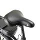 Urban E-Bike Devron 28121 28” – 2017 - Black