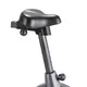 Exercise Bike inSPORTline Hodore UB