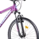 Női hegyi kerékpár DHS Teranna 2622 26" 2019-es modell