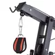 Fitnes naprava inSPORTline Profigym C75