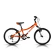 Detský bicykel ALPINA Bestar 30 20" - 255 mm (10")