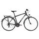 ALPINA ECO T10 28" Herren Trekkingfahrrad - Modell 2020